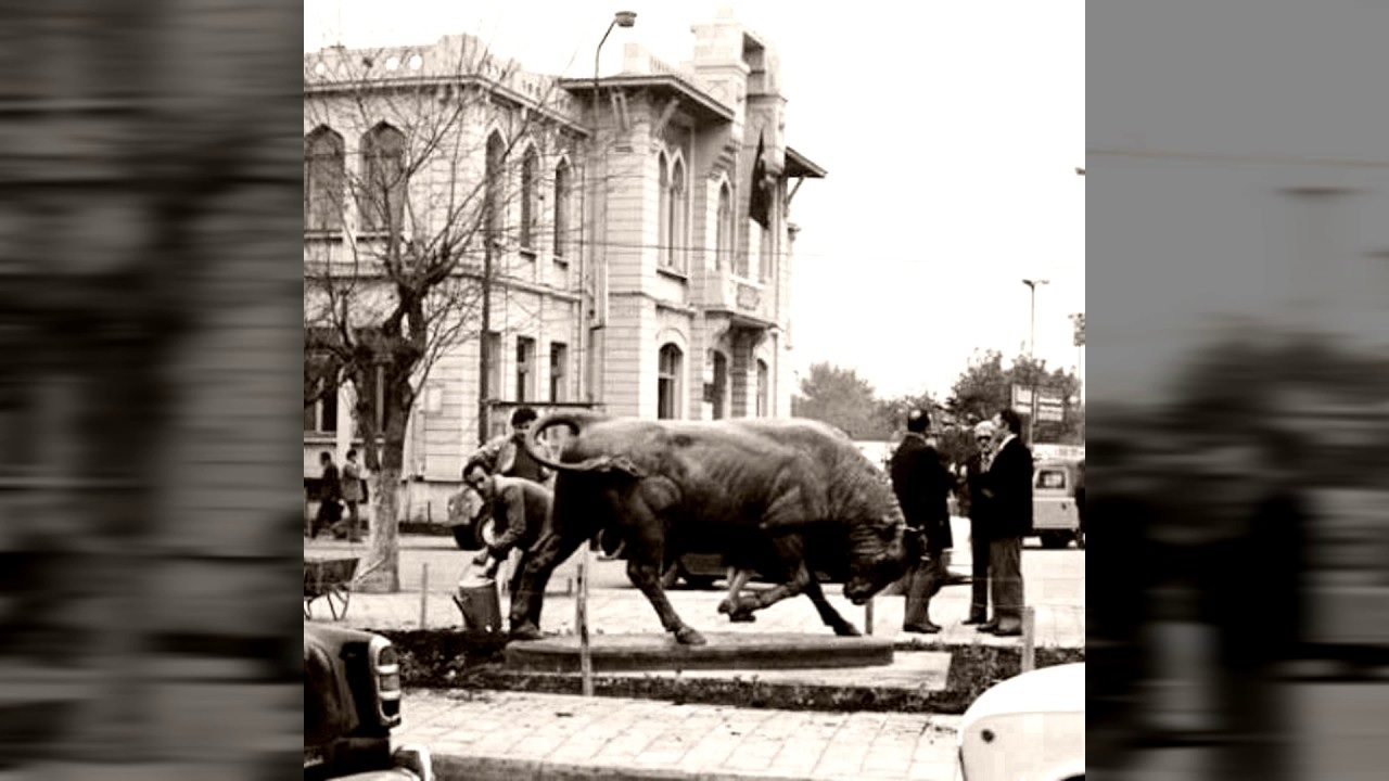 kadikoy bull statue