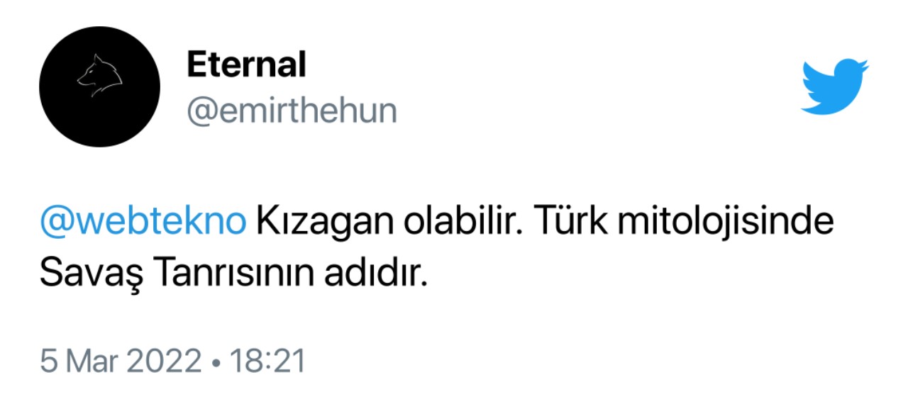valorant turkish agent