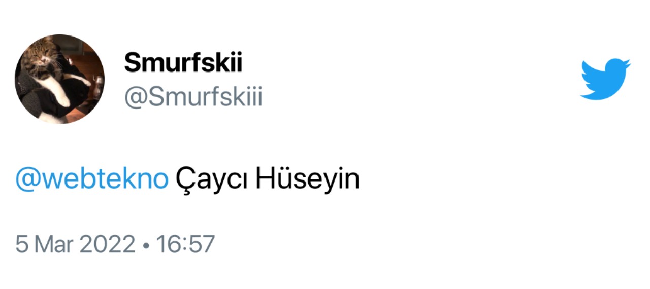 valorant turkish agent