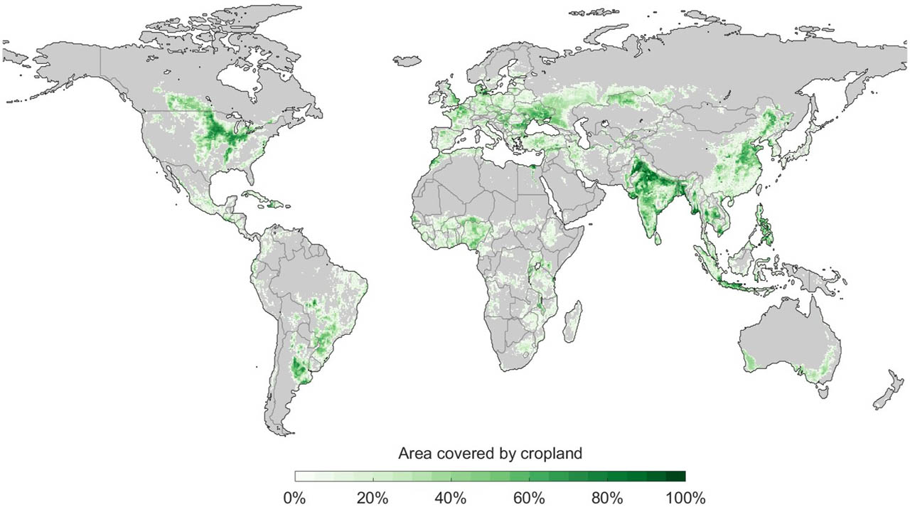 Bu Harita, Dünyadaki En Verimli Tarım Arazilerini Gösteriyor: Türkiye, Sandığımız Gibi Bir 'Tarım Cenneti' mi?