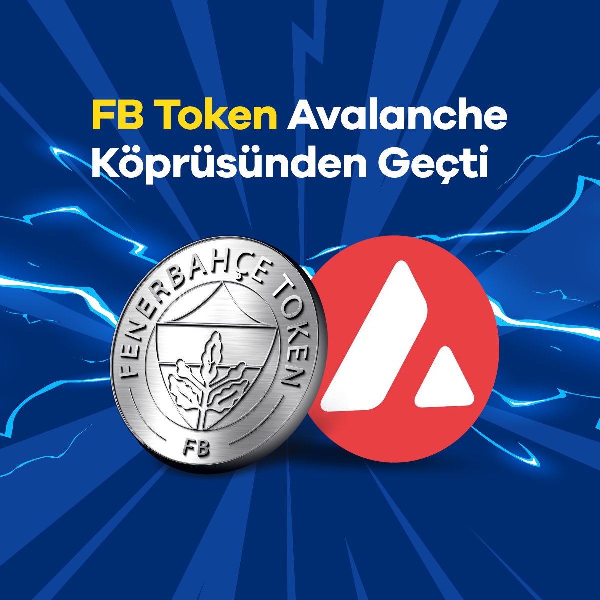 fenerbahçe token & avalanche