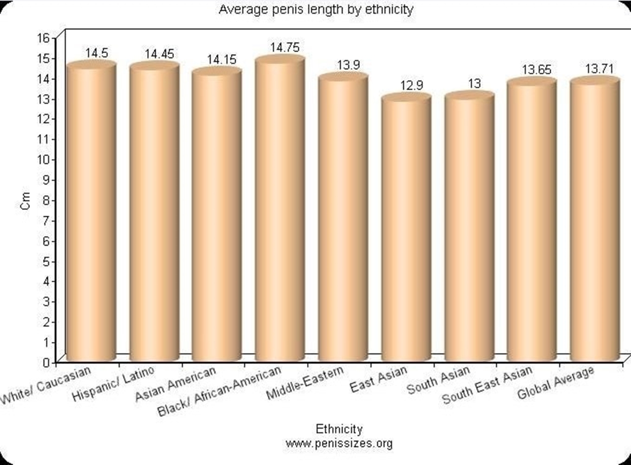 penis size