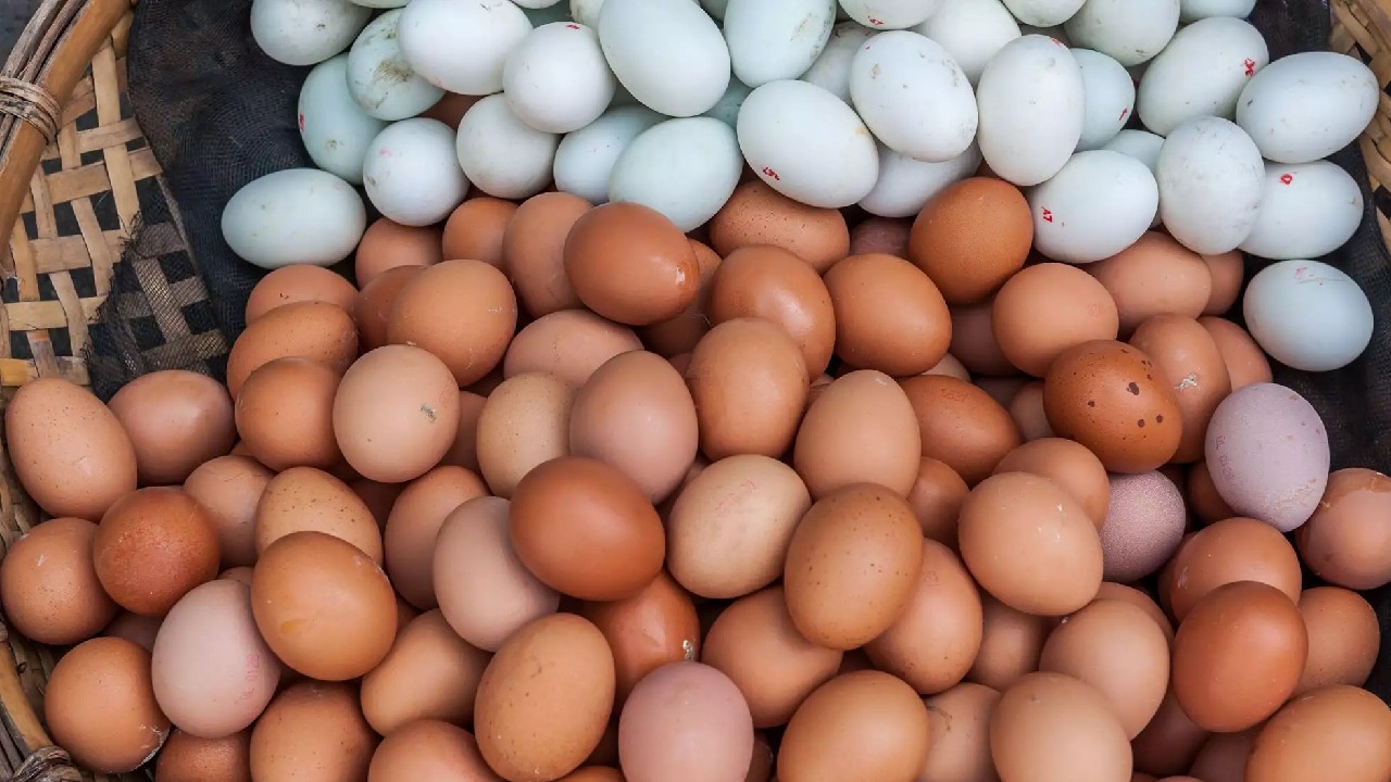 Kandırılmışız: Kahverengi Yumurtalar Beyaz Yumurtalardan Neden Daha Pahalı?