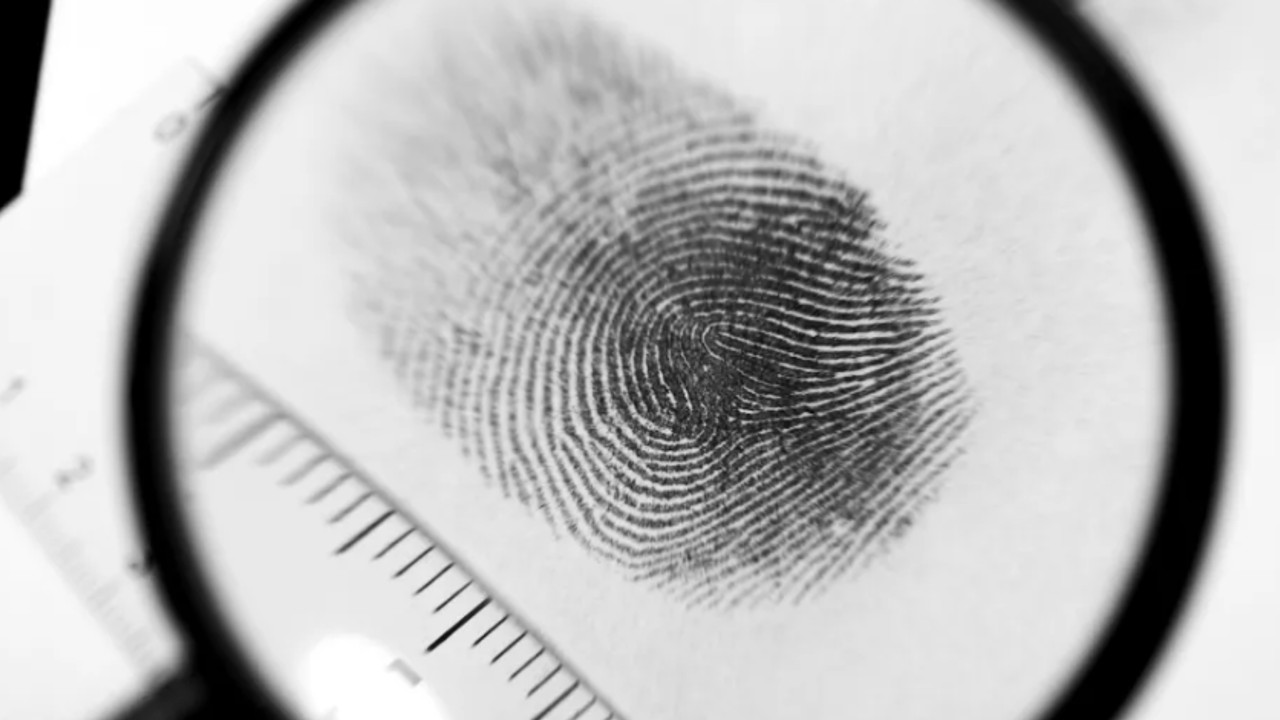fingerprint_2