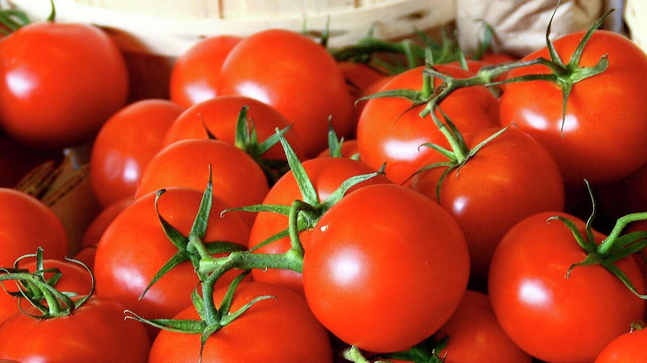 După tomatele care scad tensiunea, au sosit cele cu vitamina D