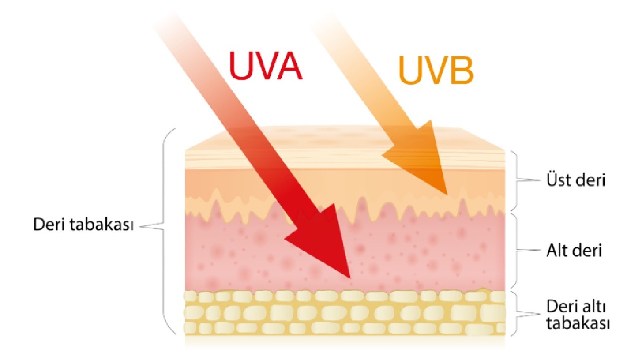 UVA-UVB Işınları