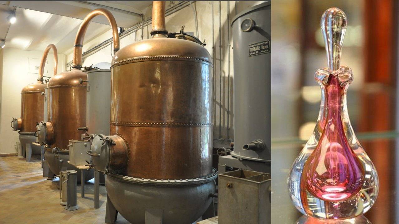 perfume distillation