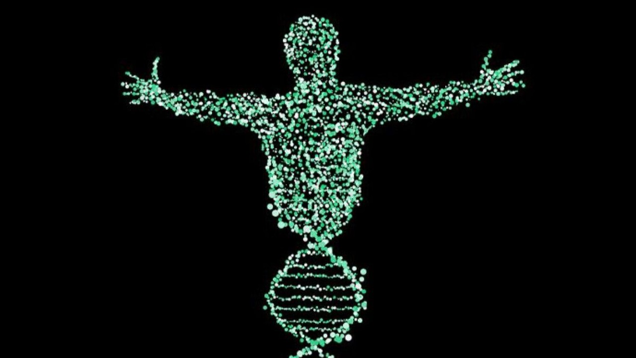 Y chromosome loss