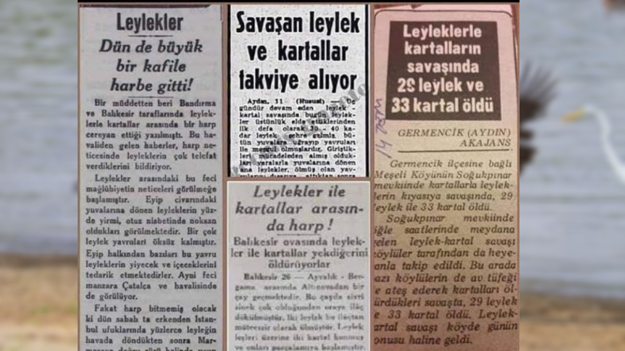Türkiye'de Yaşanıp Times'a Bile Konu Olan Kartallarla Leylekler Arasında Geçen Efsane Savaş
