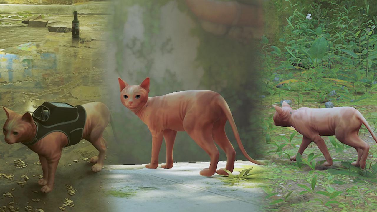 Kedi Simülasyonu Stray, Modcuları Çıldırttı: GTA'nın Efsane Karakteri CJ, 'Kedi' Oldu