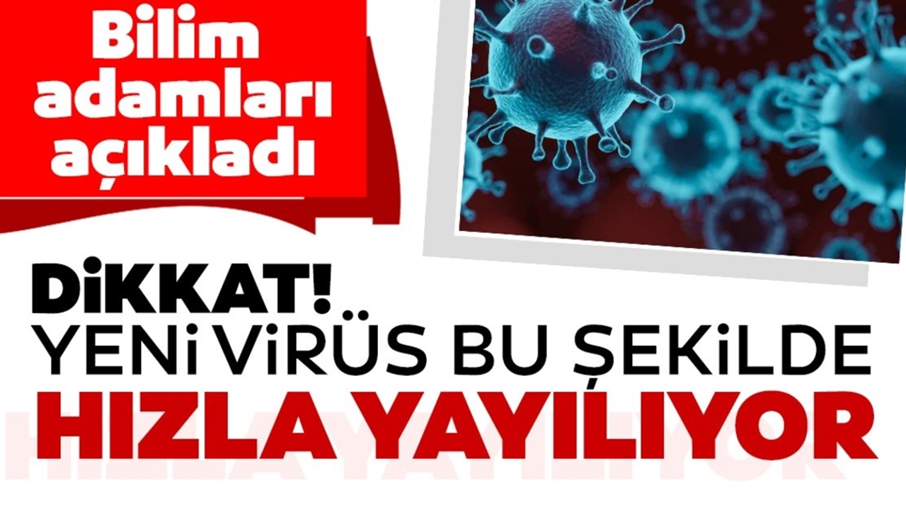 new virus