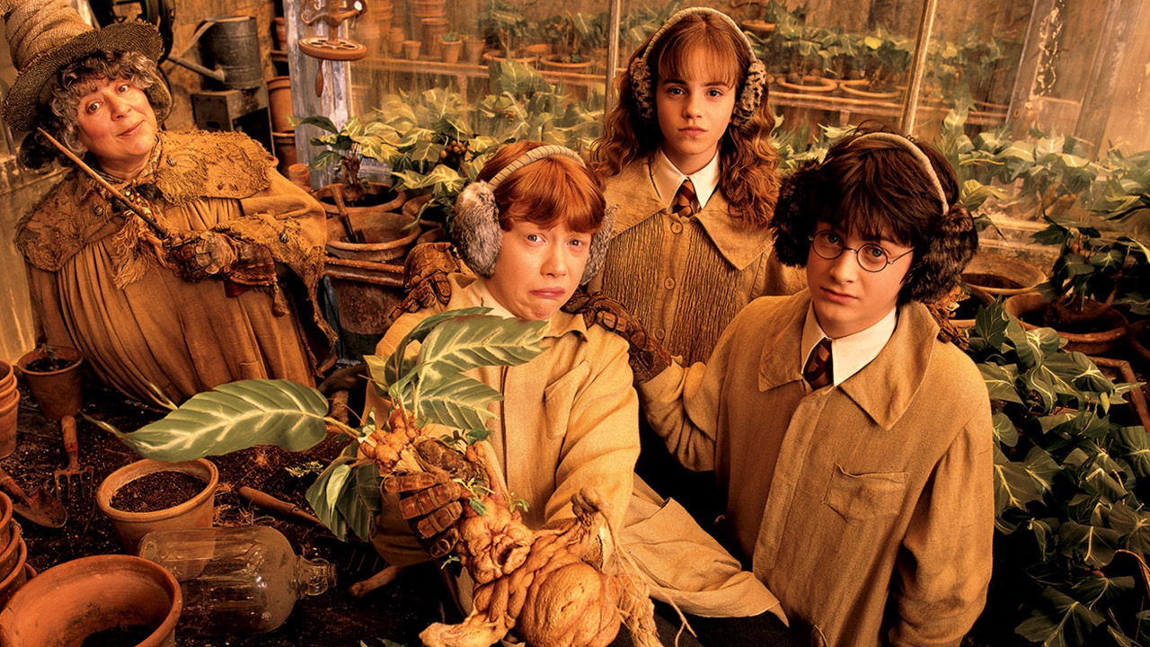 Harry Potter plants