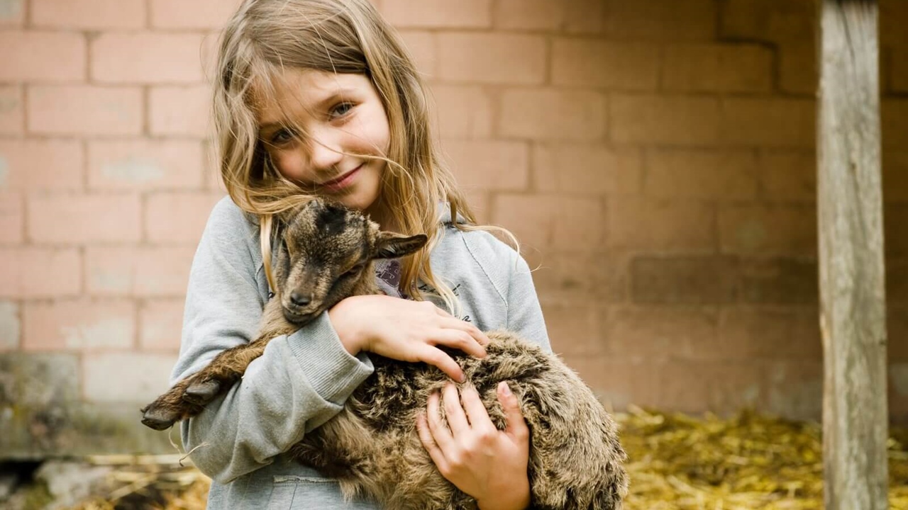 animal love in children