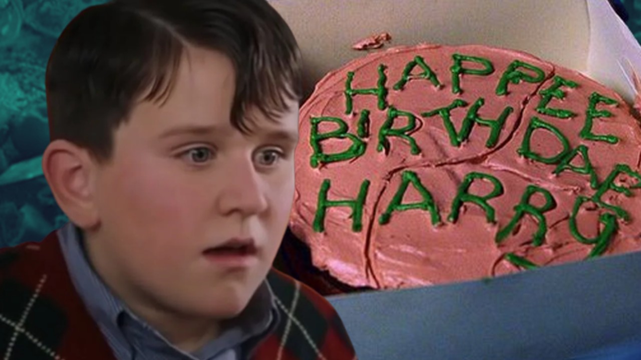 Harry Potter's birthday cake