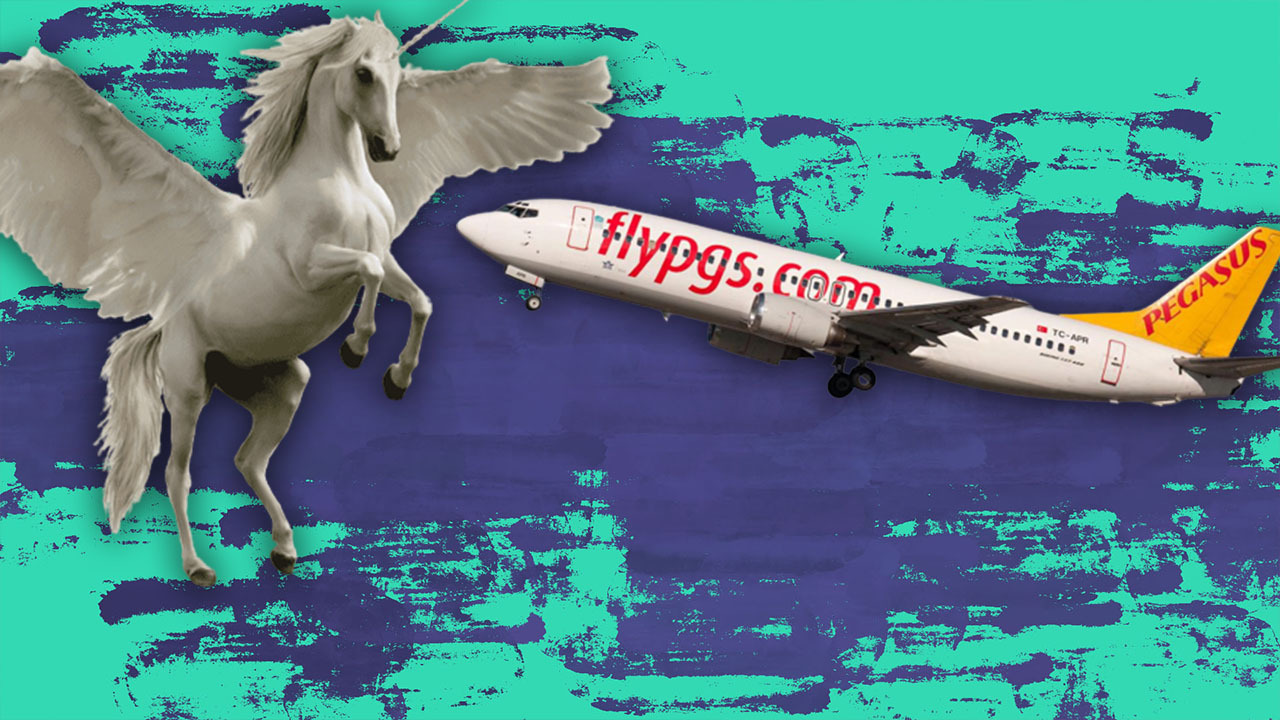 pegasus airlines