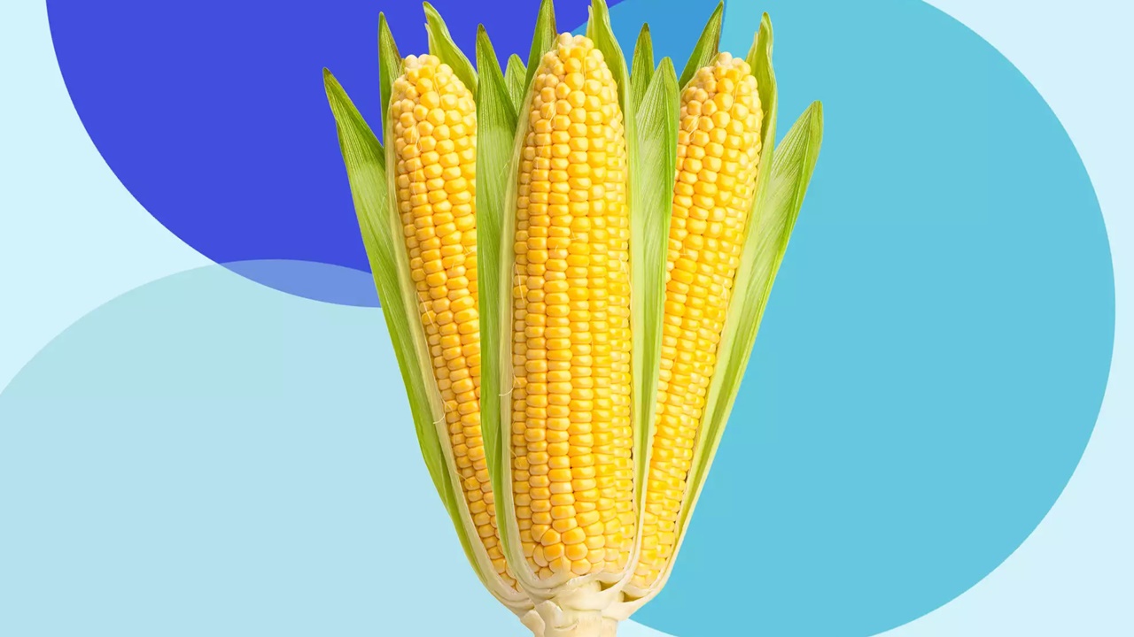 Corn Cellulose