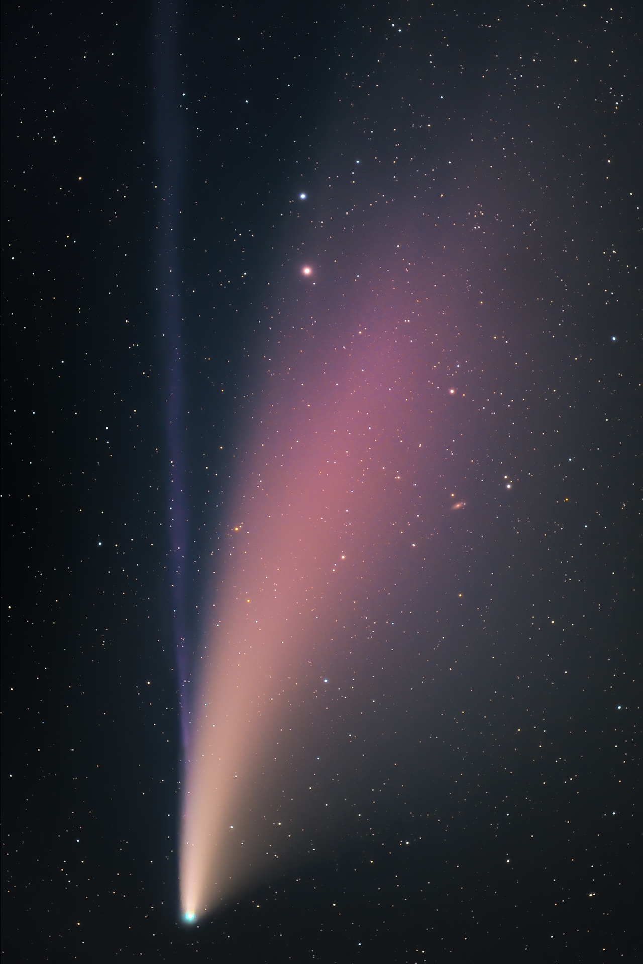 Comet Neowise