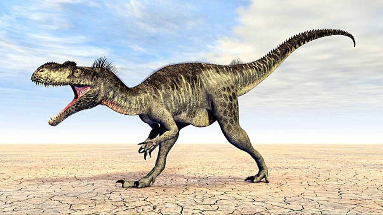 dinozor Megalosaurus