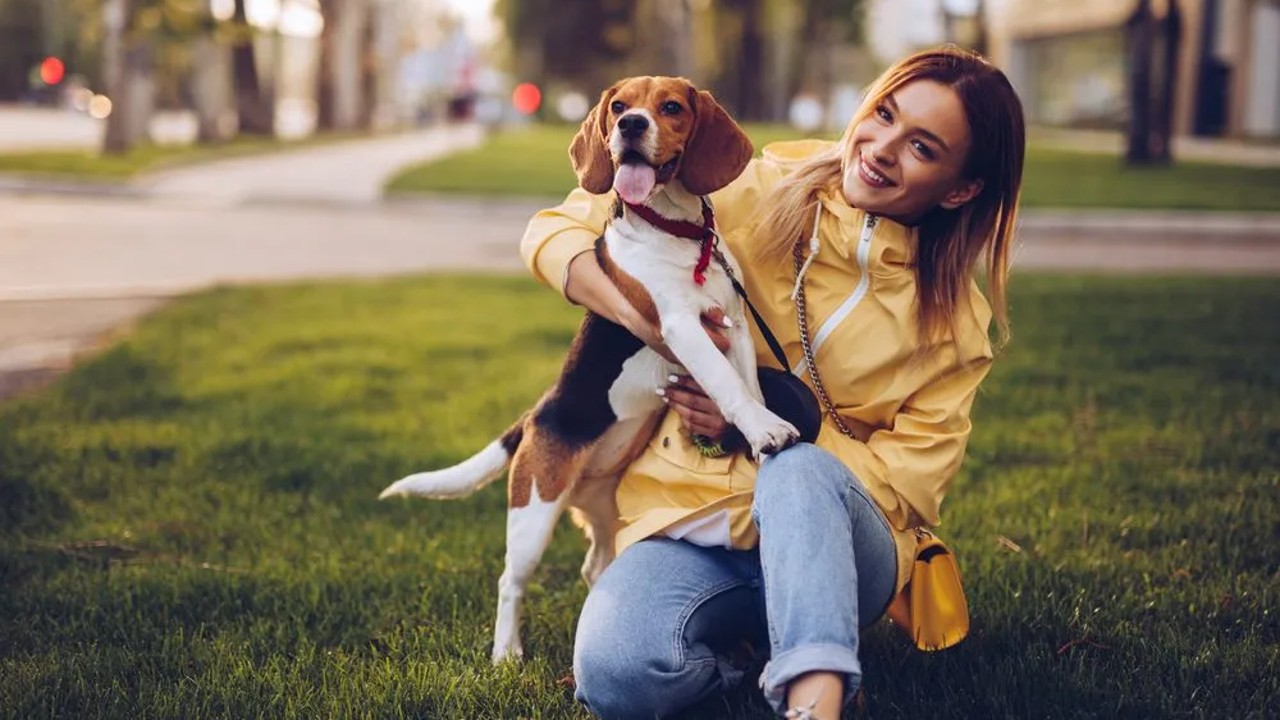 beagle and owner