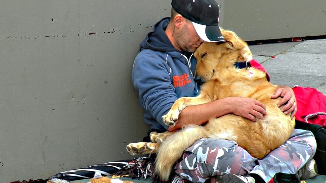 köpek sarılma