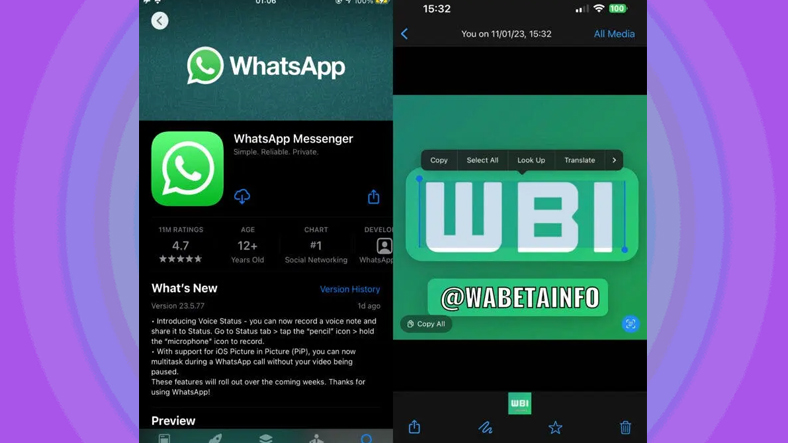 WhatsApp text detection