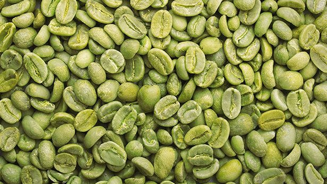 yeşil kahve çekirdeği