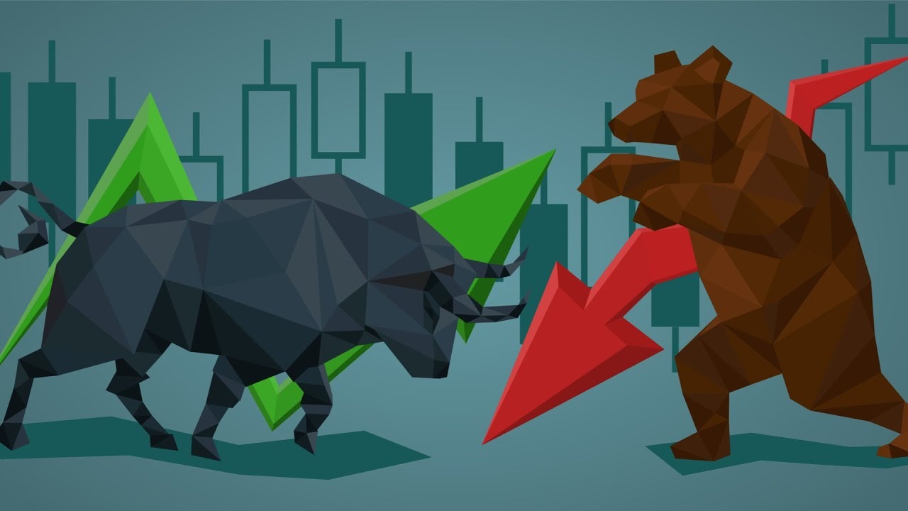 bear and bull market
