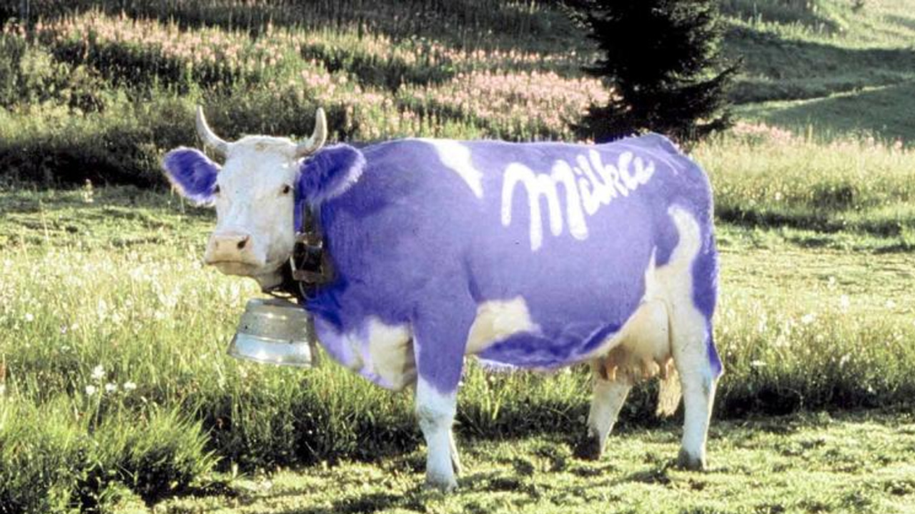 milka cow