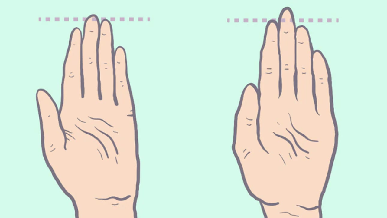 yüzük parmağı uzunluğu