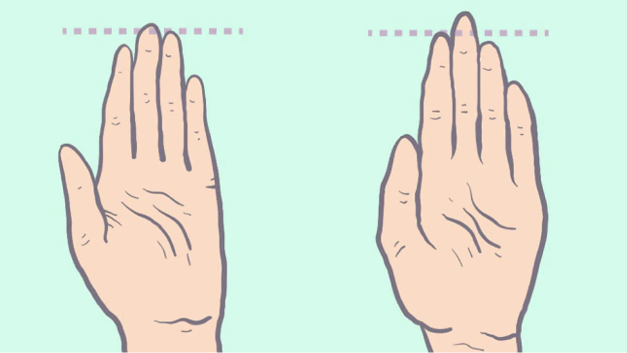 ring finger length