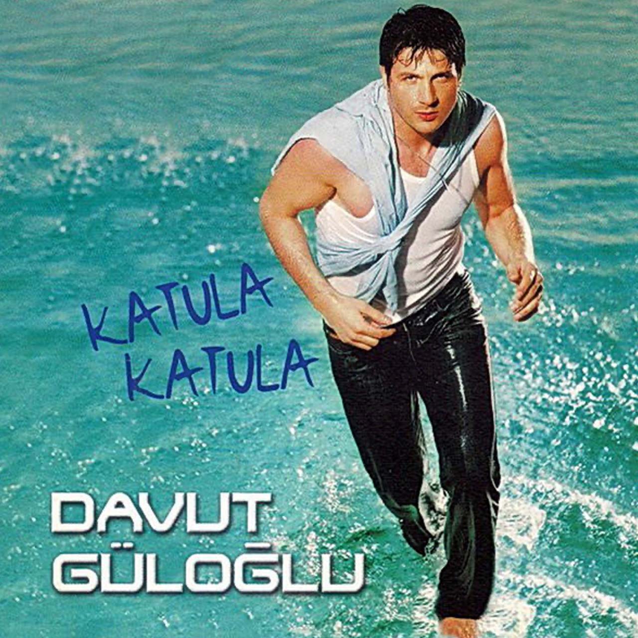 Davut Guloglu