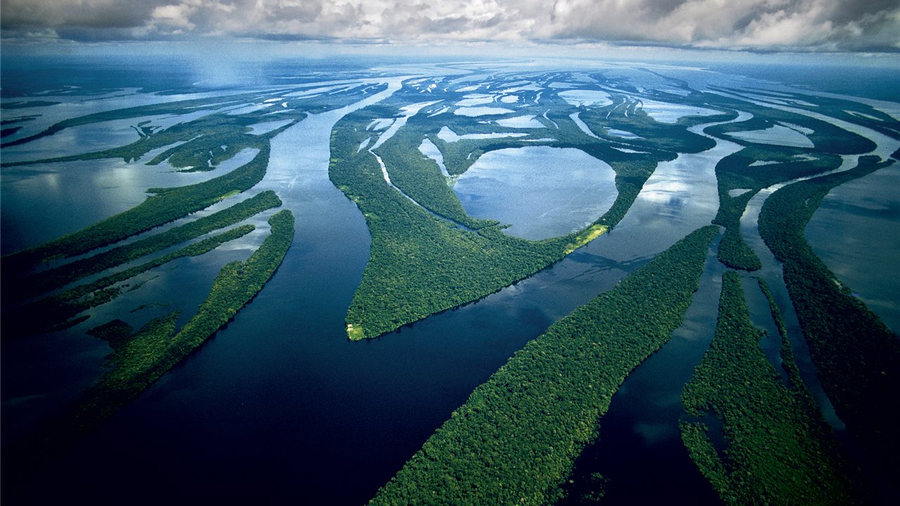 amazon nehri