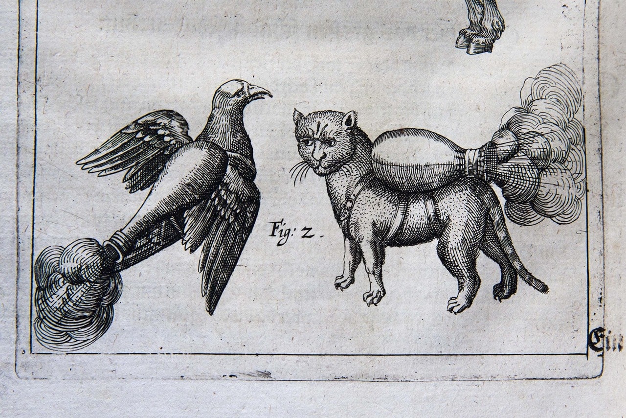 Orta Çağ'ın Sıra Dışı Silahları: Kediler ve Kuşlar Neden Vahşi Bir Şekilde 
