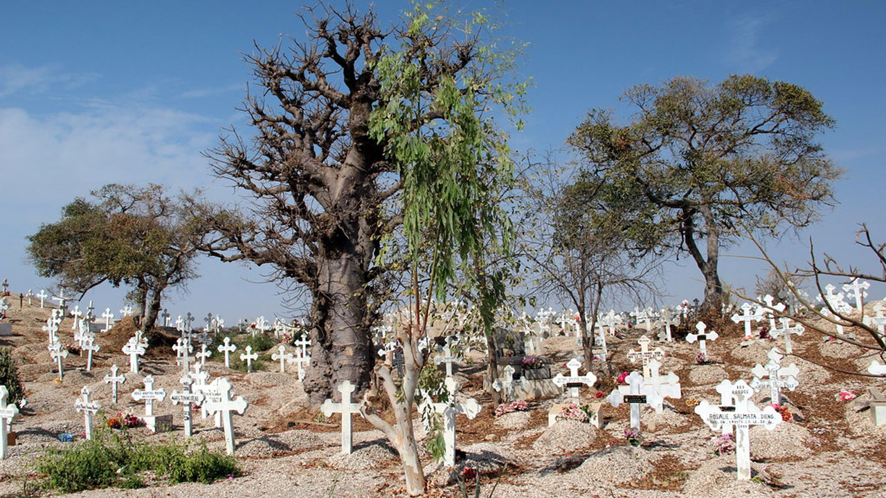 baobab mezarları