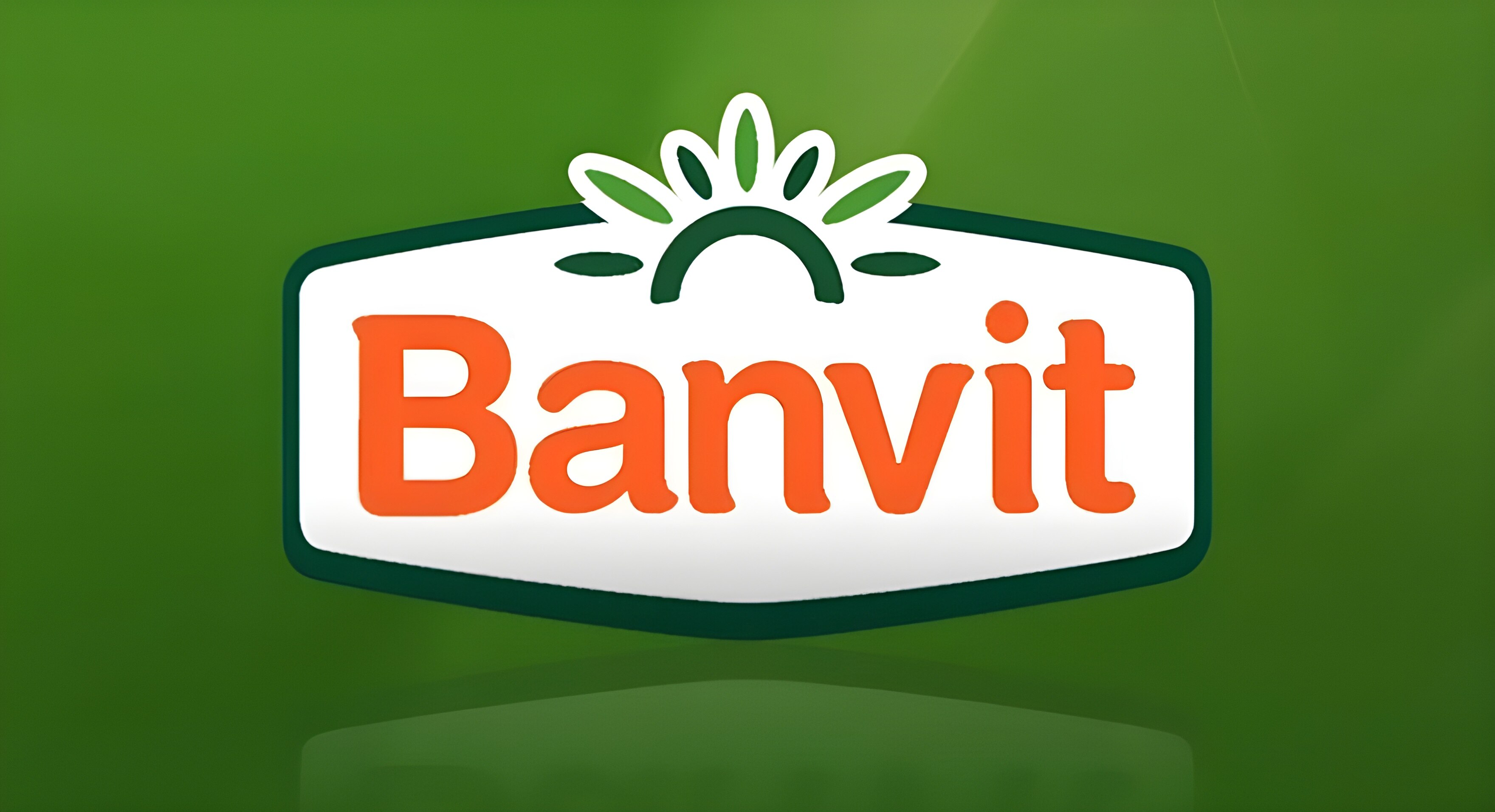 banvit logo