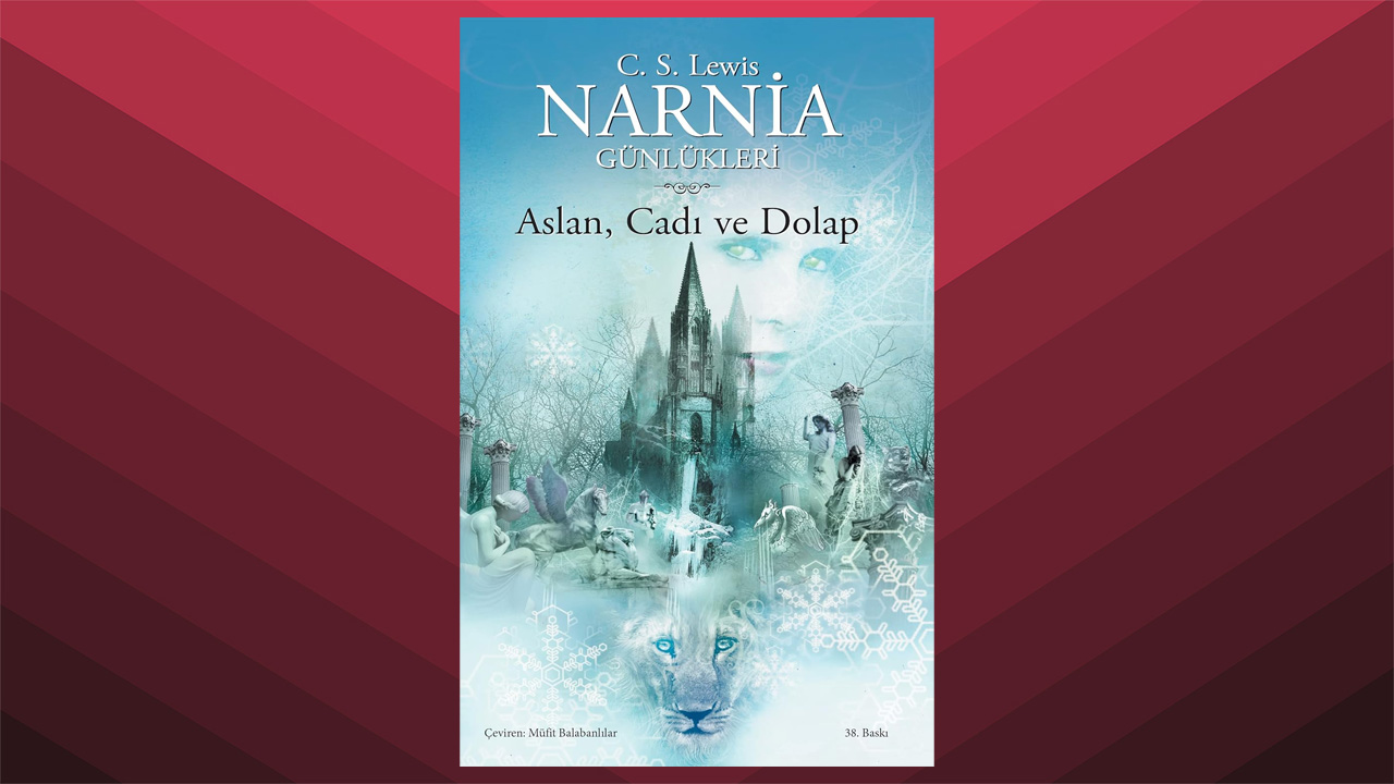 Narnia Diaries