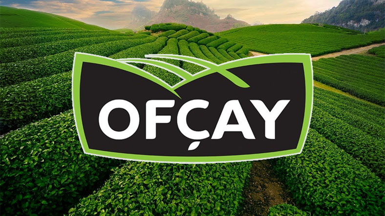 ofcay logo