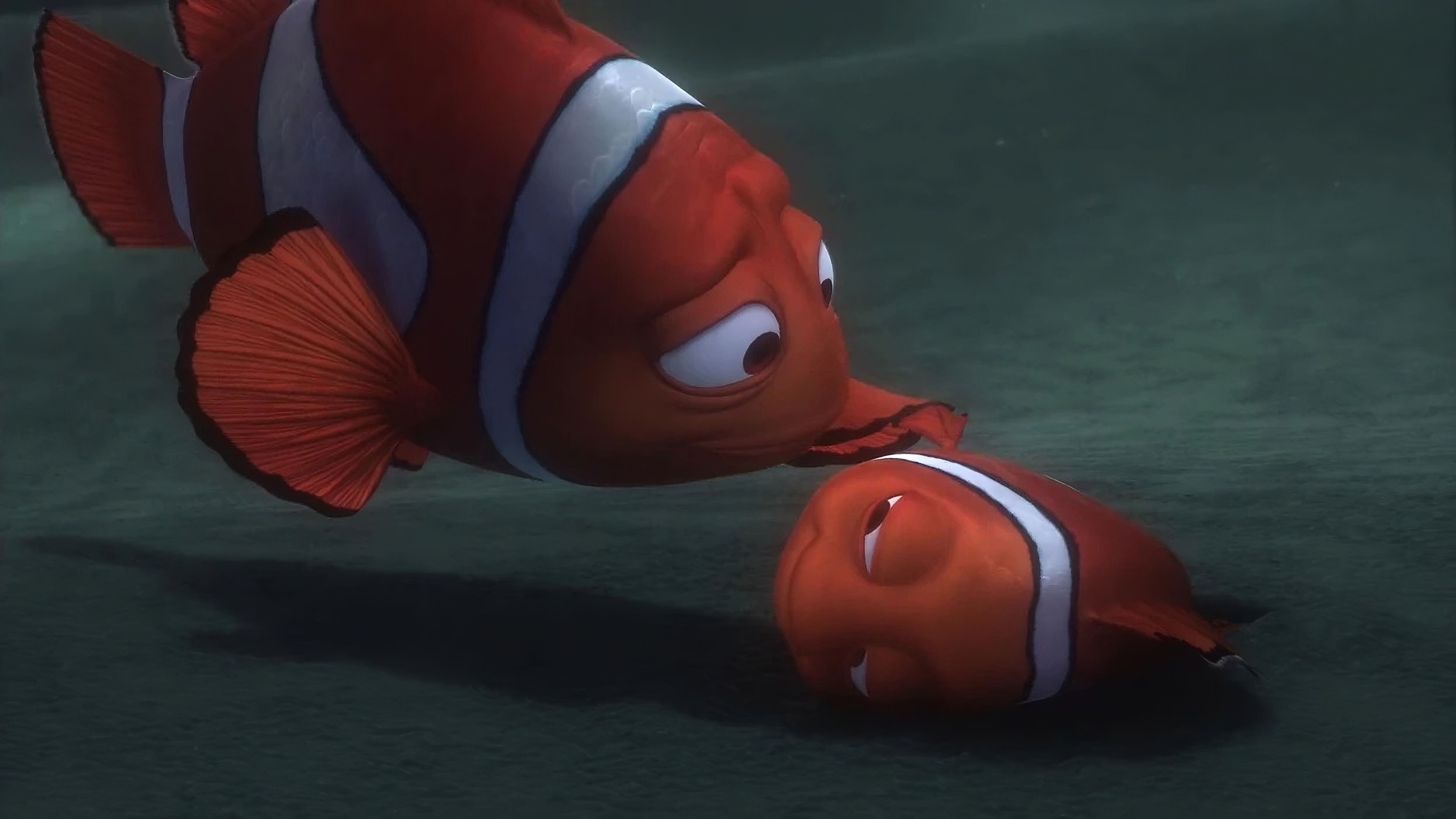 Kayıp Balık Nemo ve babası 