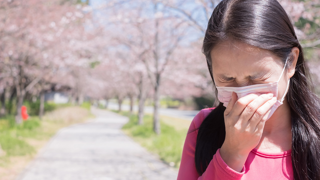 Hay fever Japan
