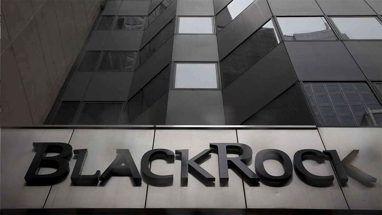 blackrock company