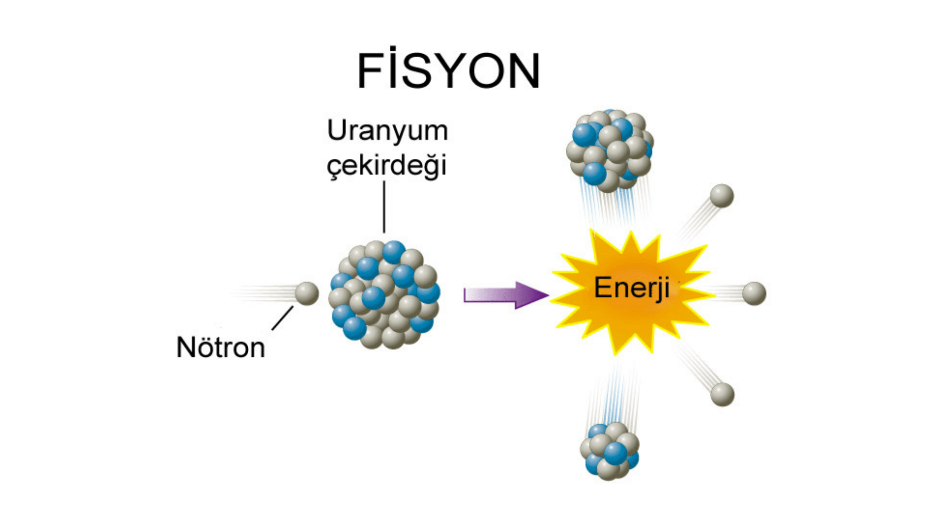 Fisyon işleminin şematik görüntüsü
