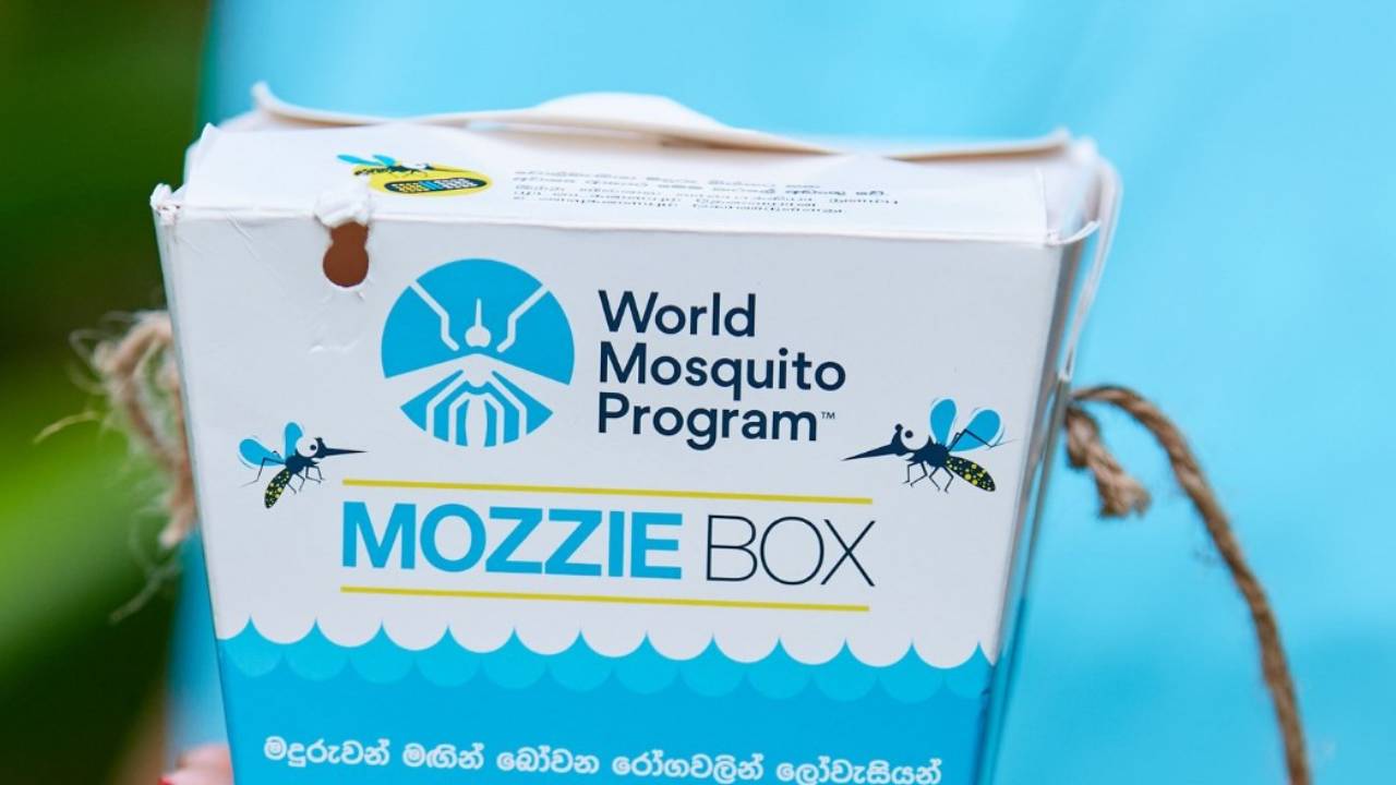 Dünya Sivrisinek Programı
