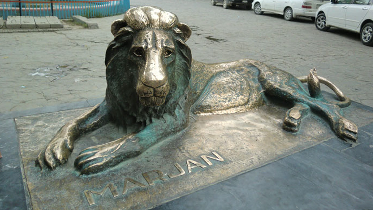 lion marjan