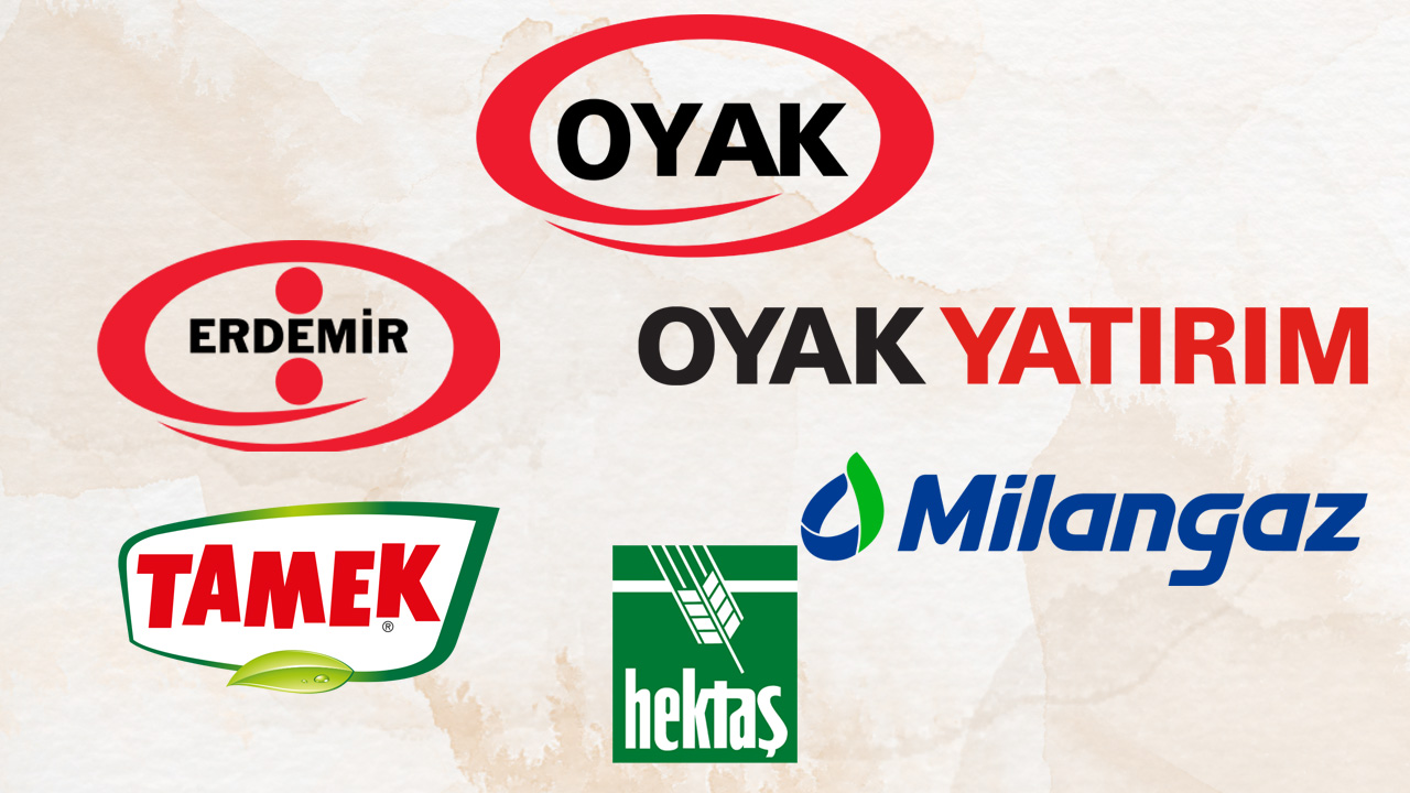 oyak holding markaları