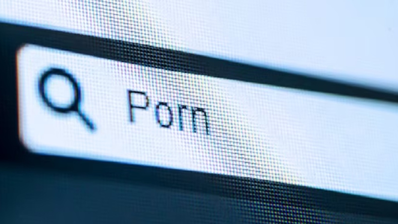 Pornography in Turkey