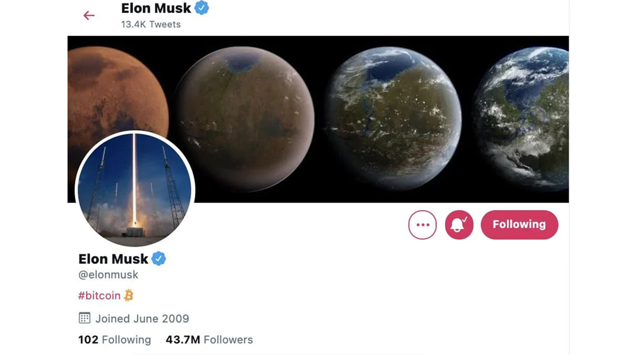 Elon musk twitter