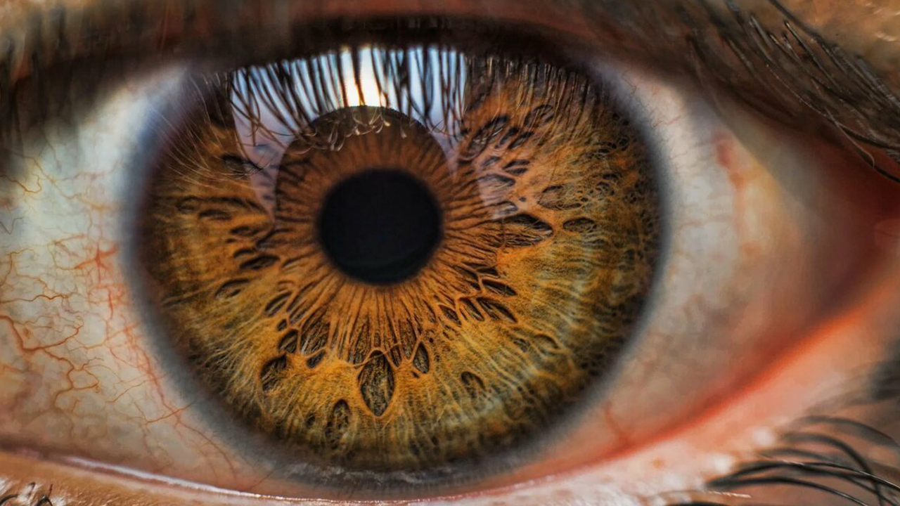How is hazel eye color formed?