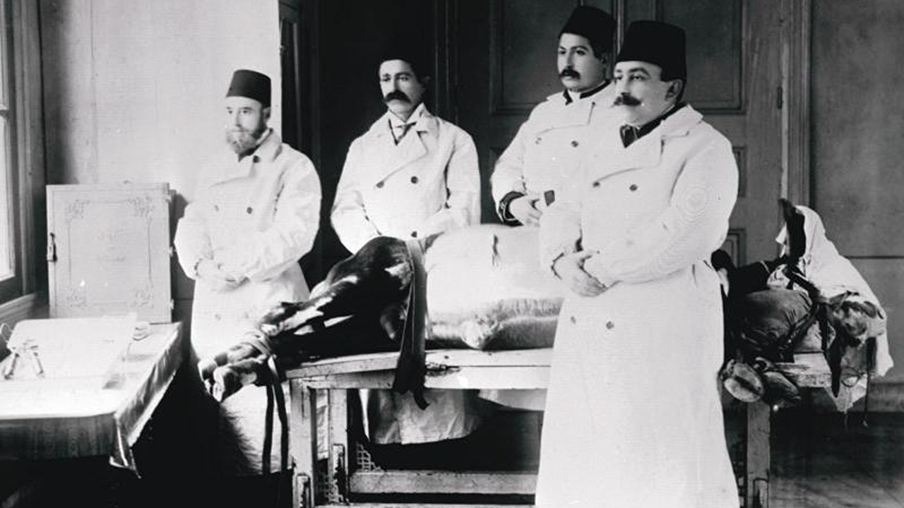 Rabies vaccine in the Ottoman Empire
