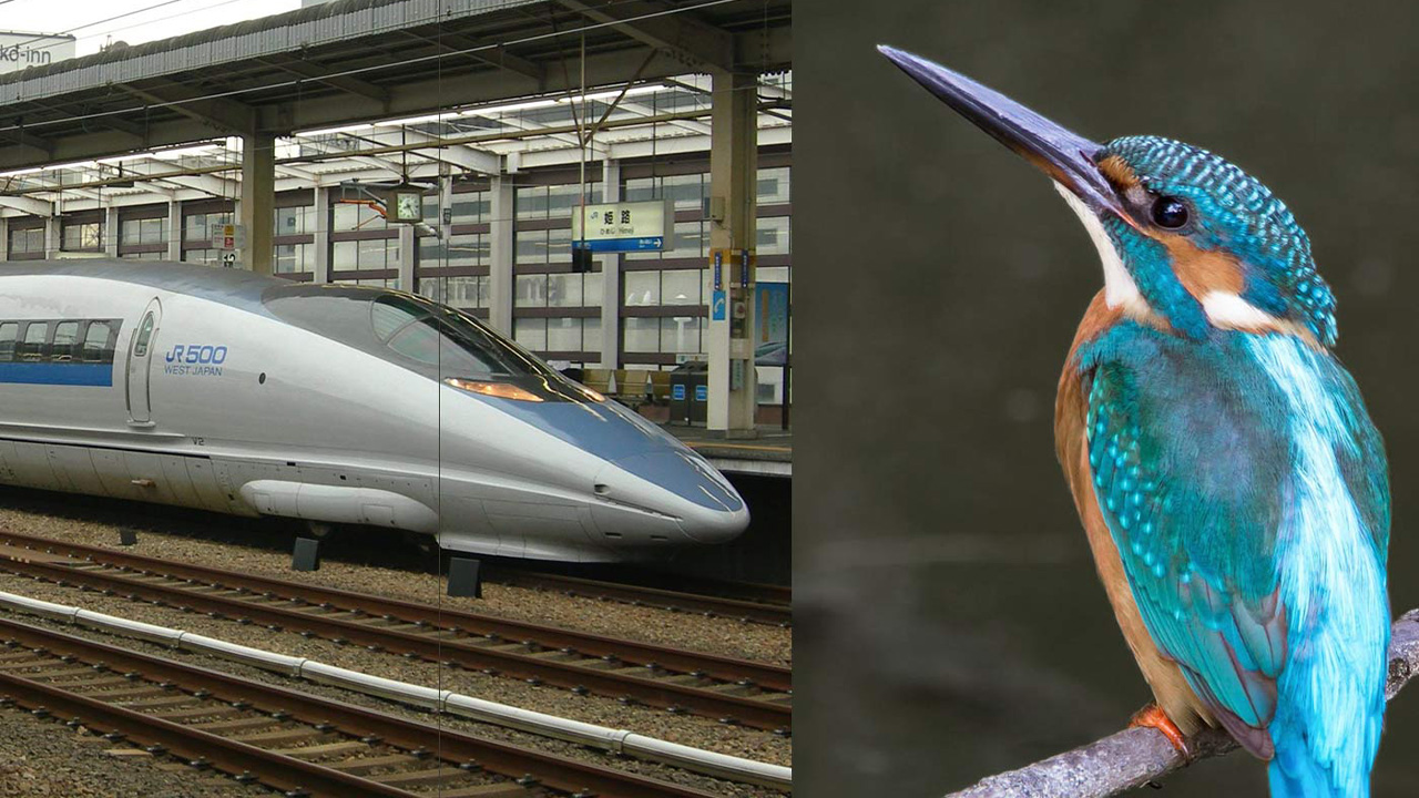 Kingfisher bird Shinkansen train