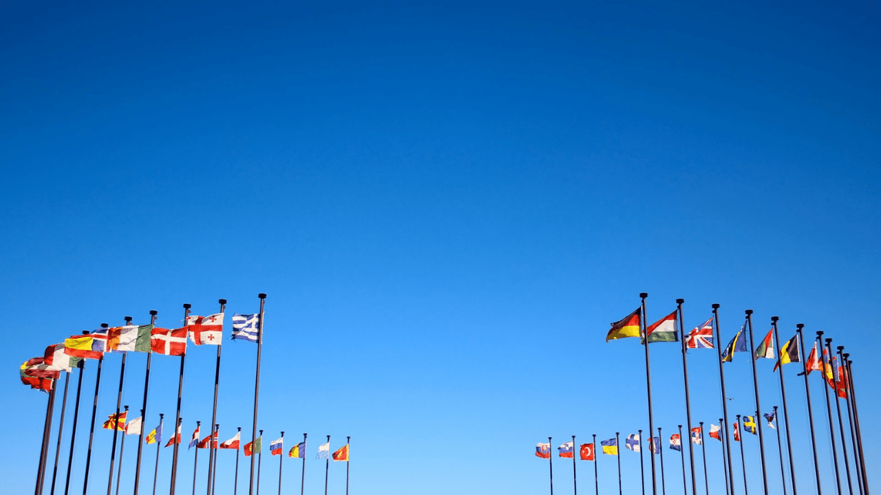 Flags of OECD member countries